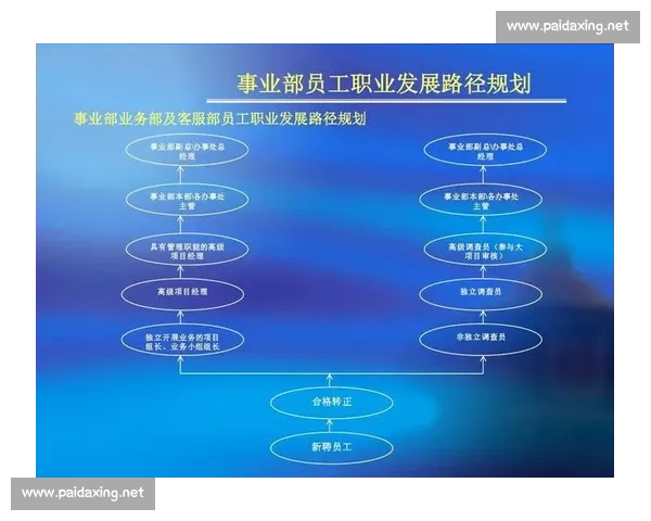 职业发展规划与路径选择：从自我认知到职场提升的全面指南