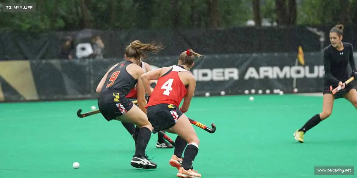 我们的核心竞争力